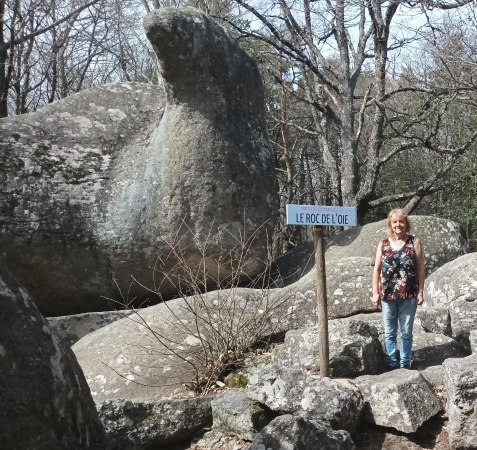Gite Le Coumis 1370 Saint-Salvy-de-la-Balme Екстериор снимка